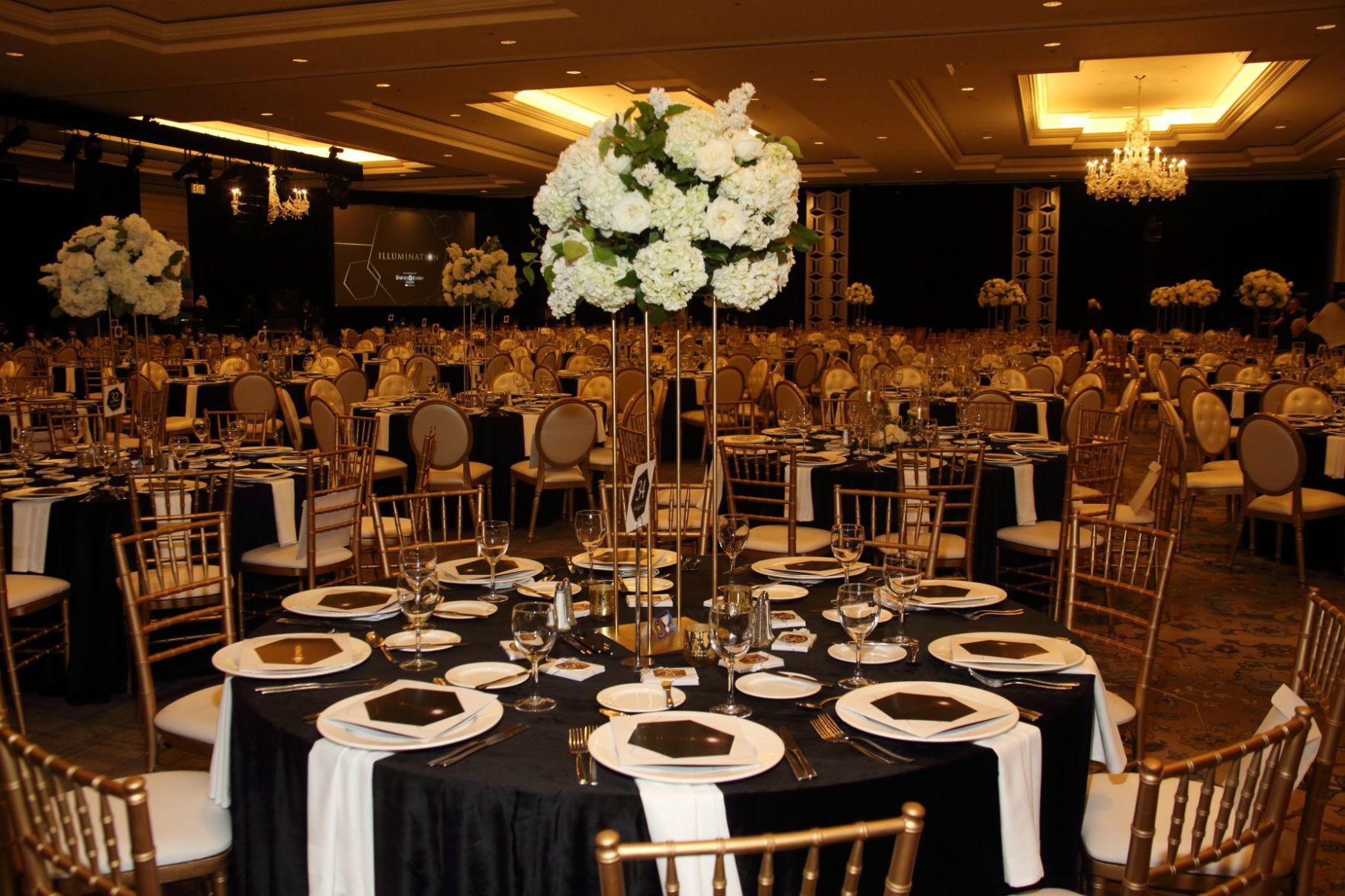 060119IlluminationGala_03.JPG